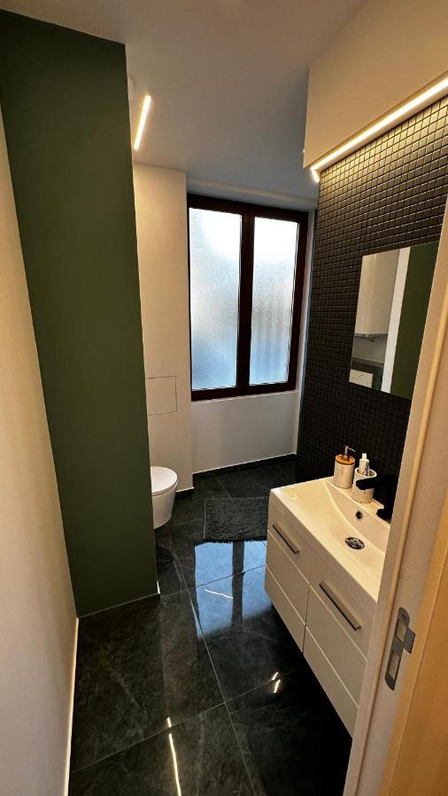 Katrine Apartment แซงต์-เอเตียน ภายนอก รูปภาพ