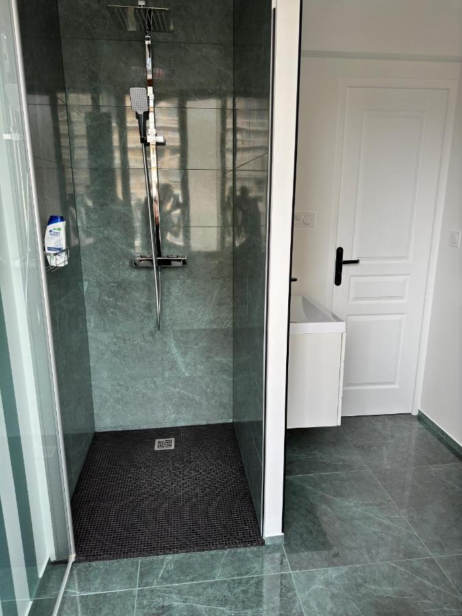 Katrine Apartment แซงต์-เอเตียน ภายนอก รูปภาพ